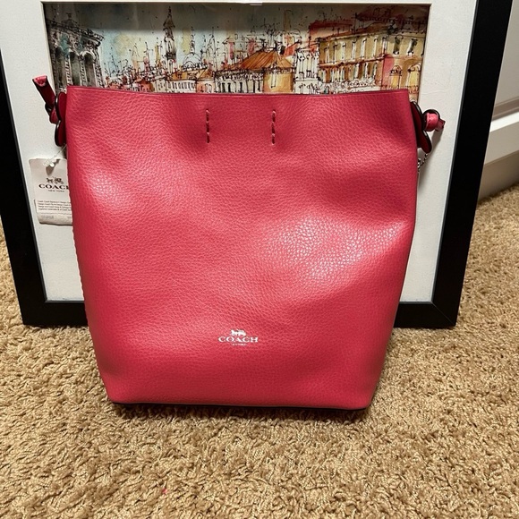 NWT Coach Derby Crossbody Bag Strawberry Red Leather Flower F58661 Rare - Picture 3 of 7